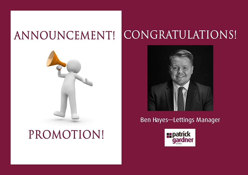 Ben Hayes Promotion